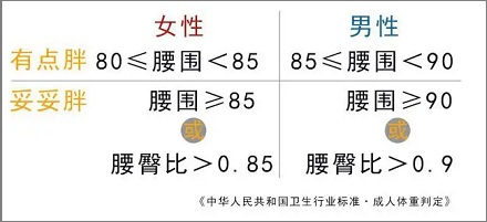 男女的腰围多少才算正常？