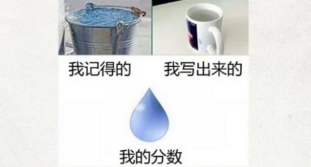 为啥从小到大的考试，都是先考语文？