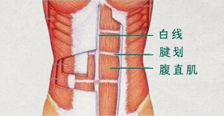 潘展乐的腹肌为啥不是对称的？