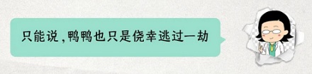 为啥鸭子在台风里一动不动，却根本不会被吹飞？