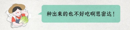 韩国为啥要紧急进口中国大白菜？