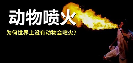 大自然里有喷毒的、放电的动物，怎么就没会喷火的动物？