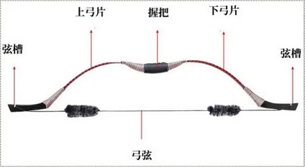 为什么射箭的时候严禁空放？