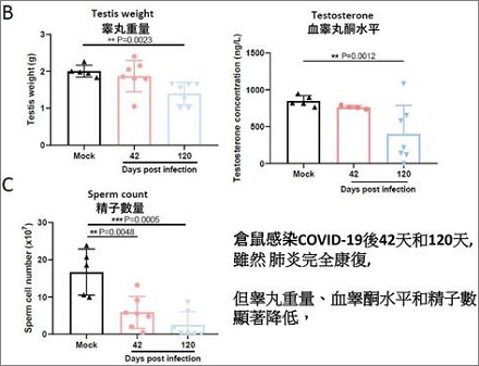 感染了奥秘克戎蛋蛋会变小？