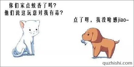 蚊香会让猫咪变痴呆？